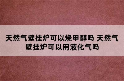 天然气壁挂炉可以烧甲醇吗 天然气壁挂炉可以用液化气吗